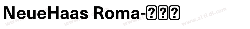 NeueHaas Roma字体转换
